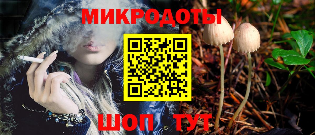 Псилоцибиновые грибы Psilocybine cubensis  Вход с VPN  Грязи 